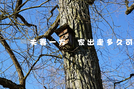 夫妻一方離家出走多久可起訴離婚？